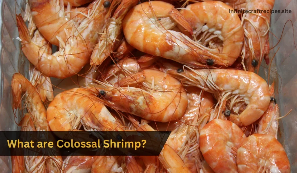 What are Colossal Shrimp